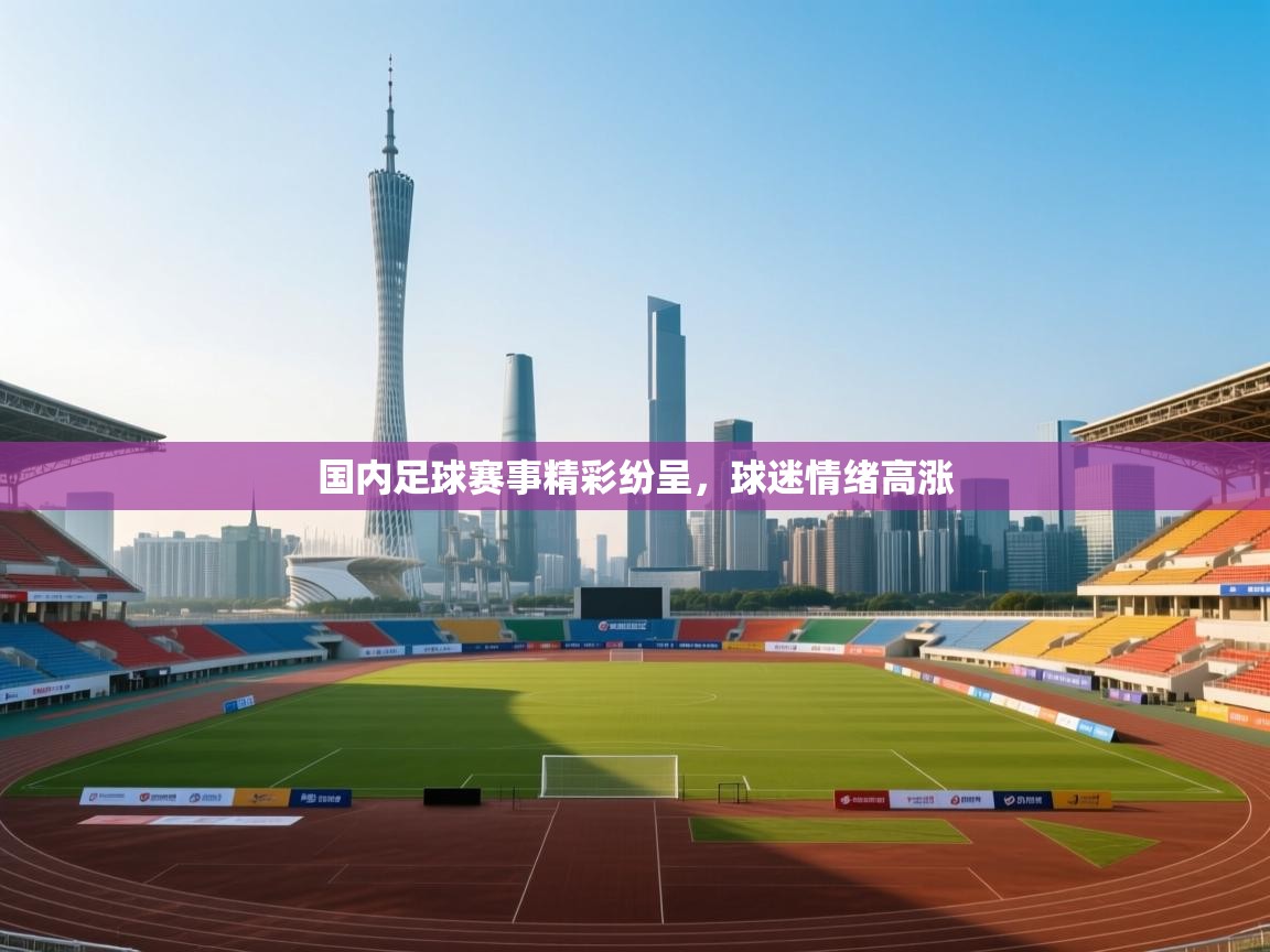 国内足球赛事精彩纷呈，球迷情绪高涨  第2张