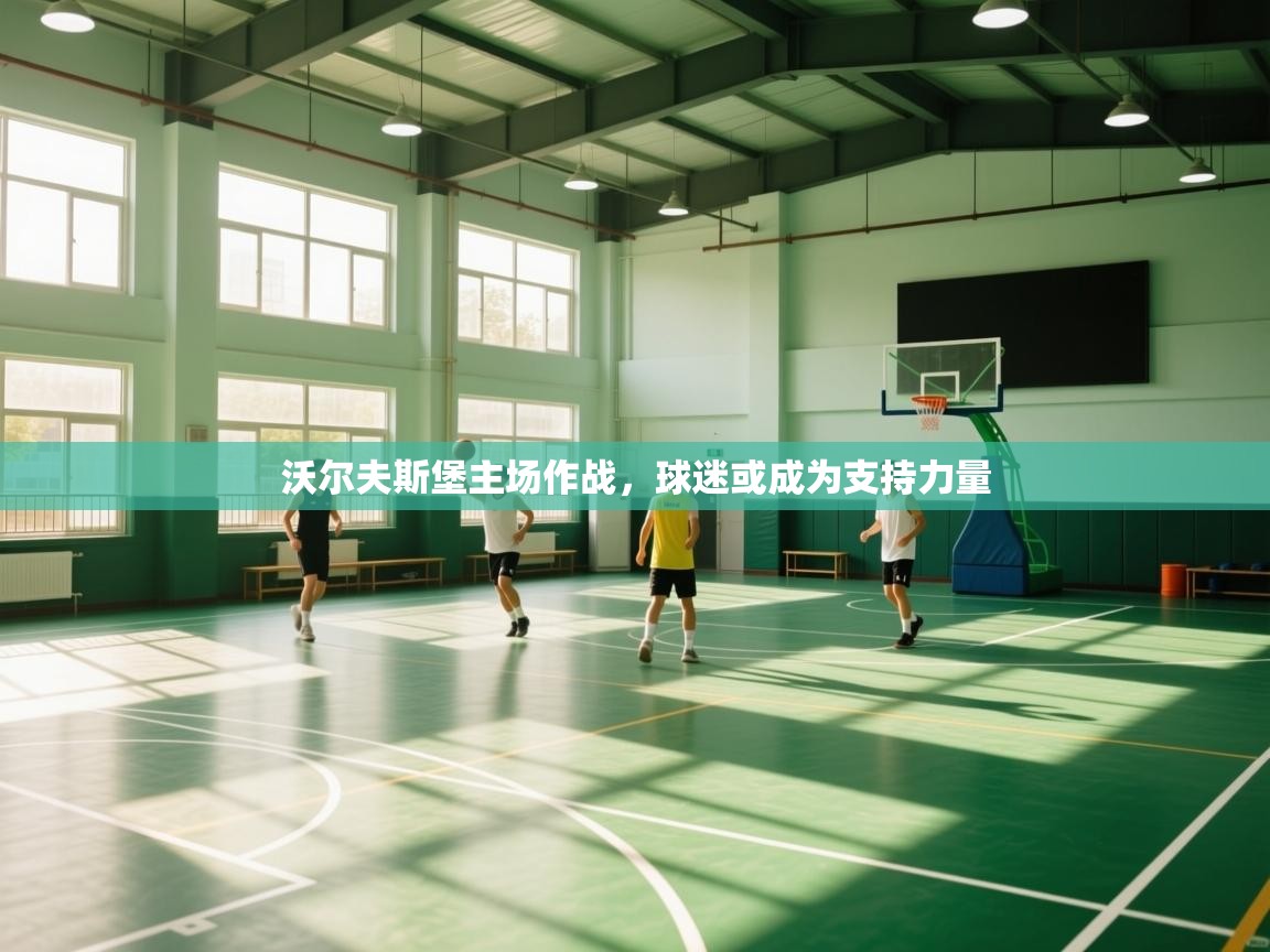 沃尔夫斯堡主场作战,球迷或成为支持力量 第2张