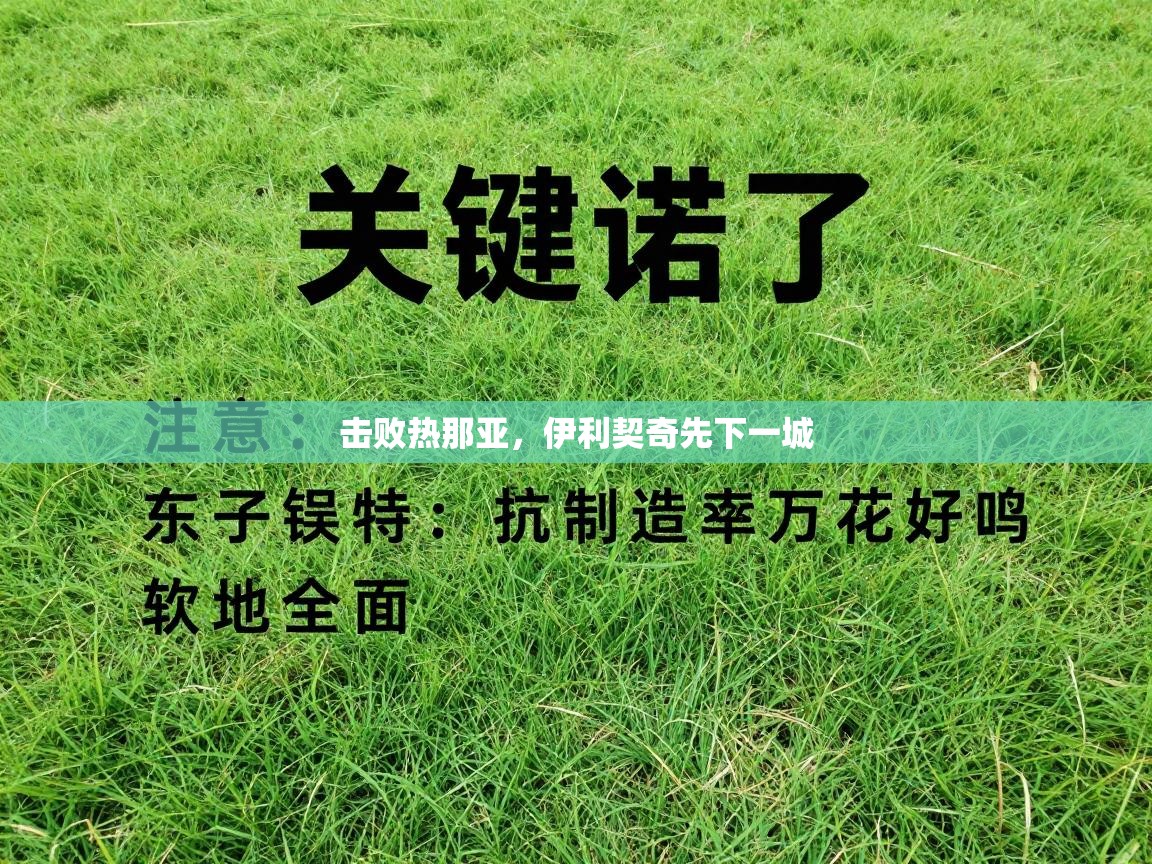 击败热那亚，伊利契奇先下一城  第2张
