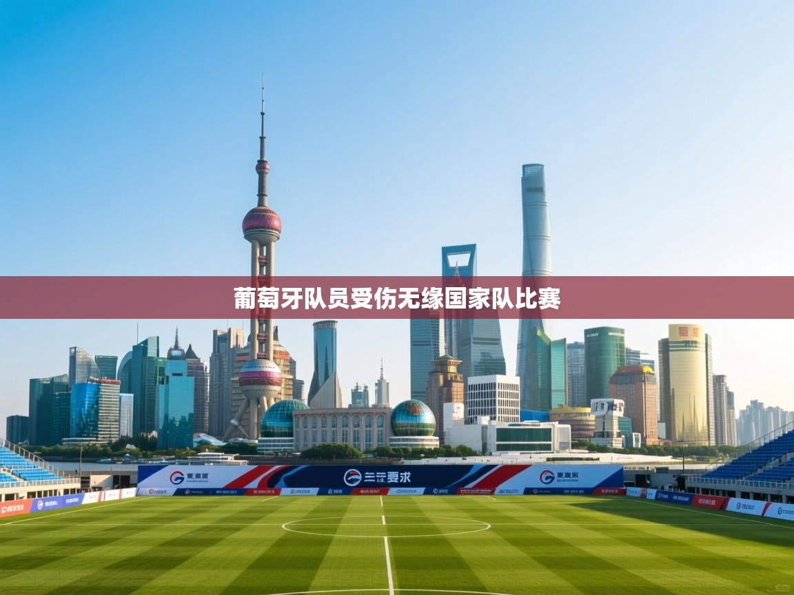 葡萄牙队员受伤无缘国家队比赛  第1张